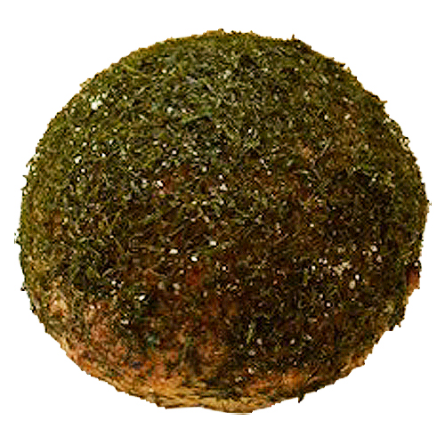 のり塩さつまいも